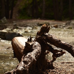 2015-07 Savoie/Cascade St Benoit/DSC_0025.JPG
